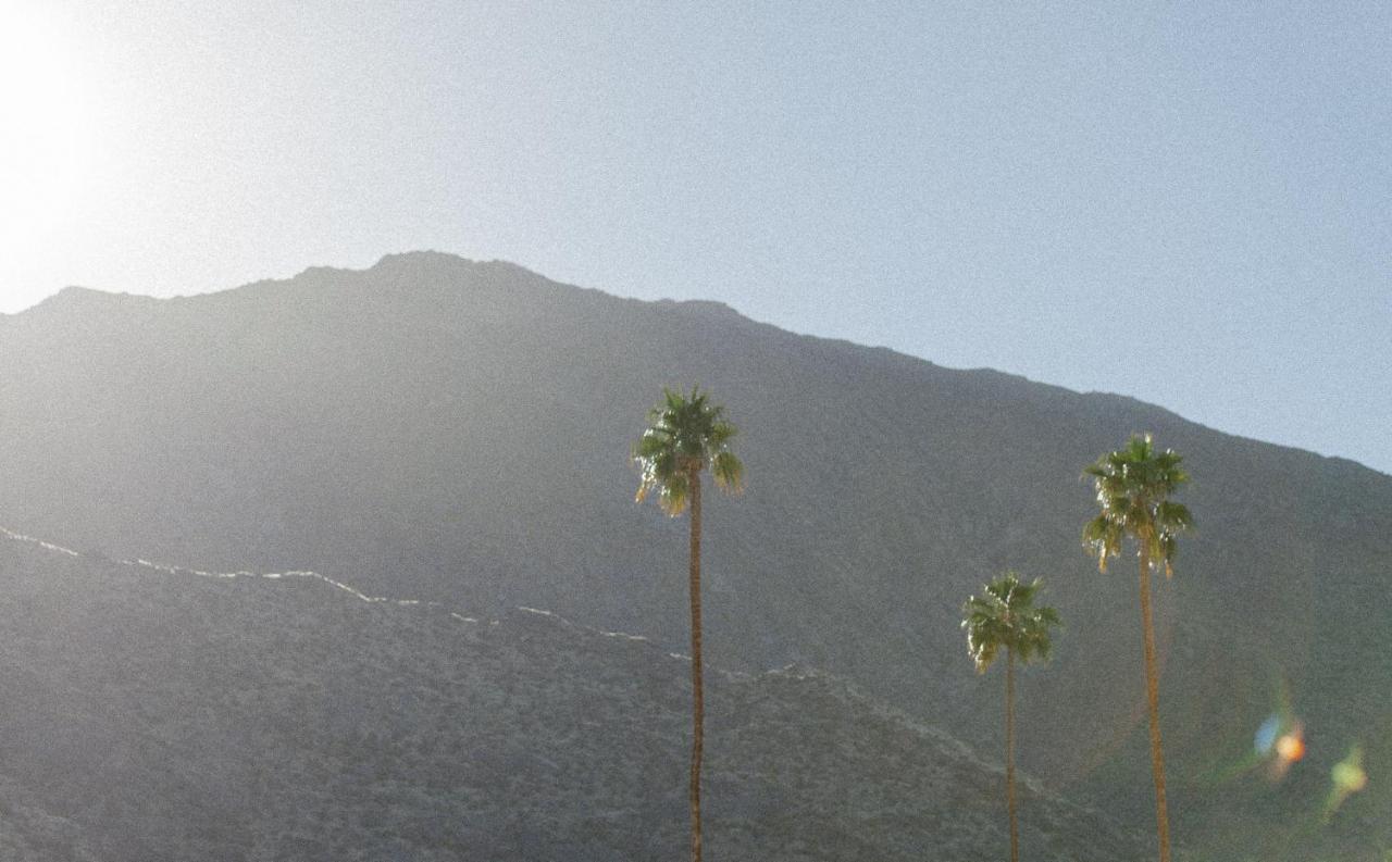 Yara Hotel - Adults Only Palm Springs Ngoại thất bức ảnh