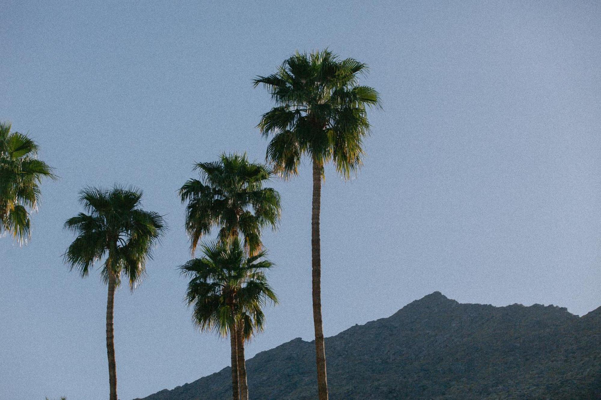 Yara Hotel - Adults Only Palm Springs Ngoại thất bức ảnh